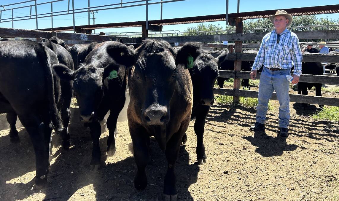 Mick McGrath, Braidwood, sold a pen of 10 Angus steers weighing 331kg for 448 cents a kilogram during the Braidwood sale last Friday. Picture supplied.
