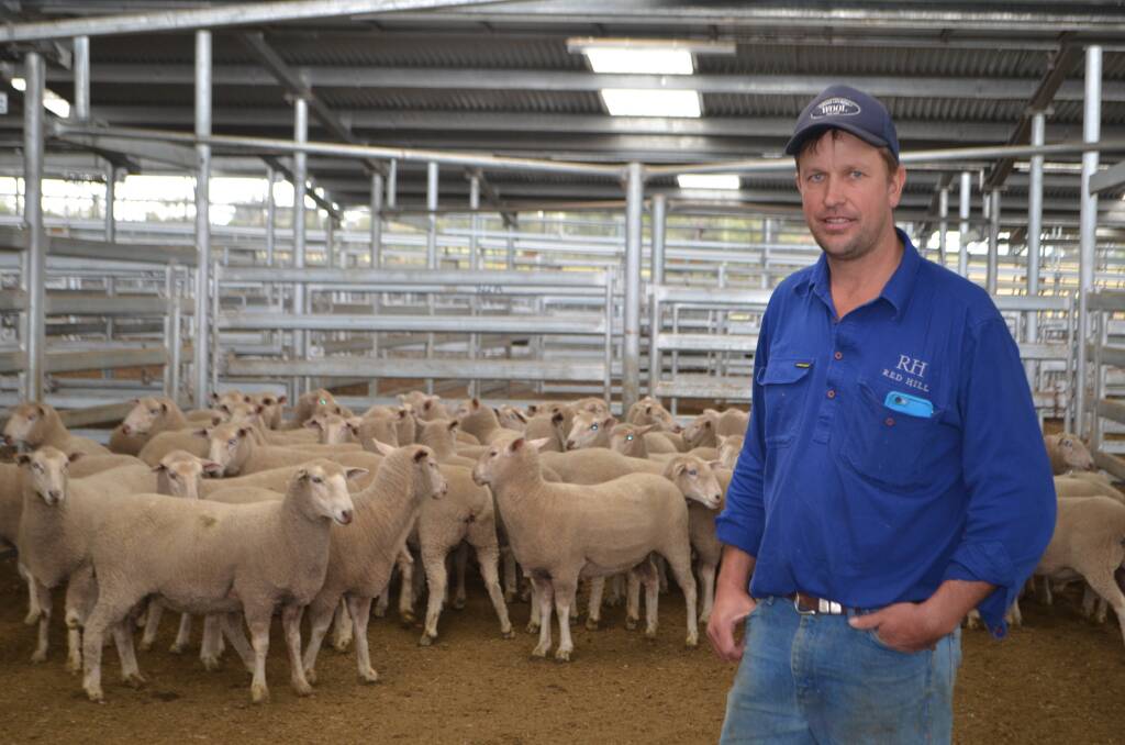 Michael Brayshaw, Binalong, sold 52 first-cross ewes by Retallack Border Leicester rams for $275 a head at the Yass first-cross ewe sale on Monday last week.