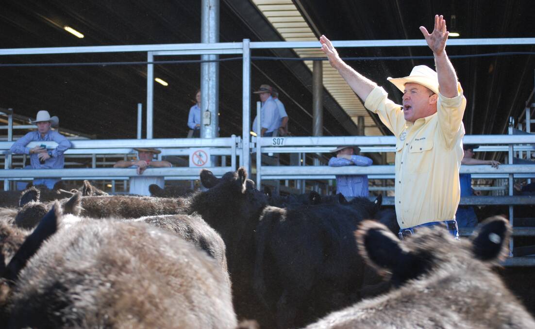 Ben Emms, Ray White Emms Mooney, Blayney, takes bids during the April weaner sale at the Central Tablelands Livestock Exchange, Carcoar.