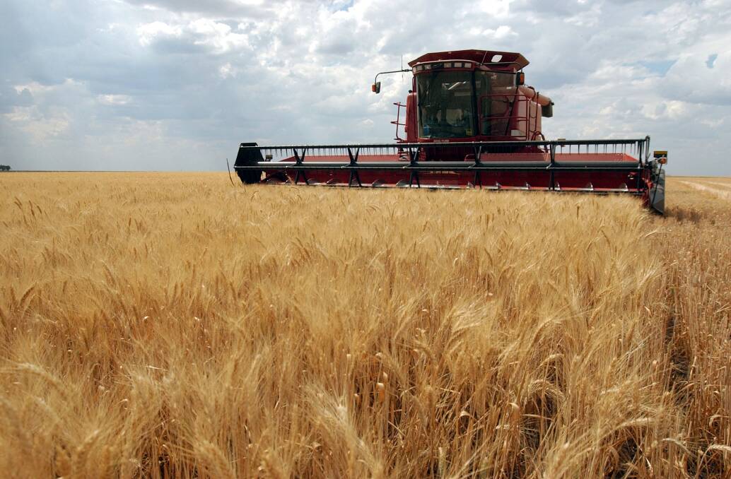 The USDA has forecast spring wheat to be down about three per cent year-on-year.