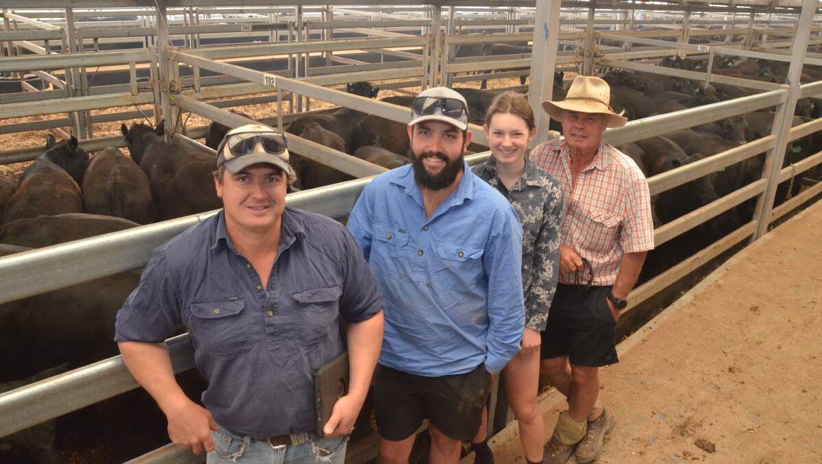 Rodda Manning, Harry Lovick, Matilda Reeve and Rod Manning of Davilak Pastoral, Mansfield, Victoria, presented 600 steers aged 10 to 11 months of Glendaloch blood at the Blue Ribbon Weaner Sale at Wodonga on Thursday. Rodda Manning estimated the whole draft averaged 320 kilograms and the top 300 head 350kg. Their top pen sold for $1190 with an average weight of 367kg. Photo by Mark Griggs.