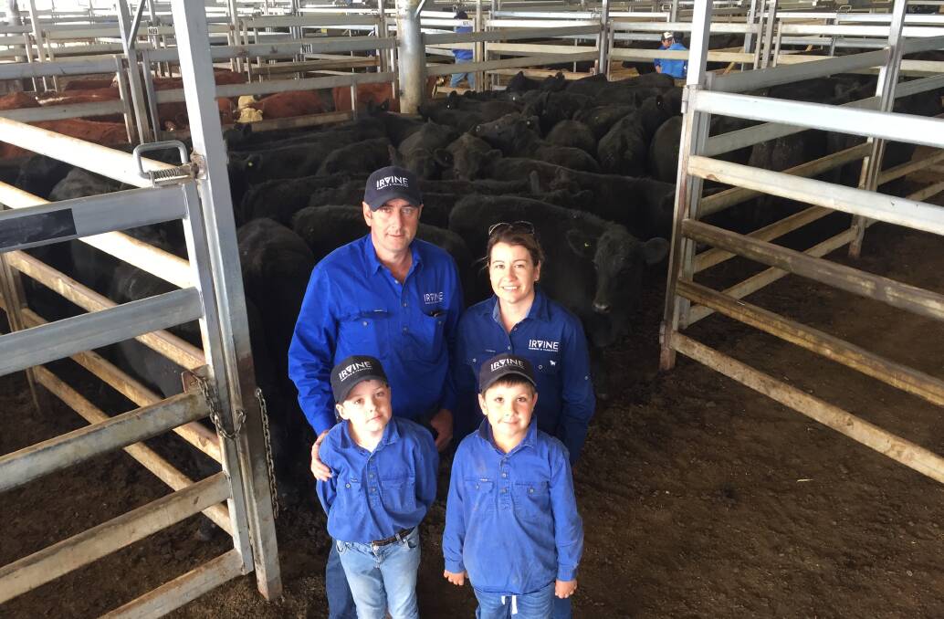 Michael and Kylie Irvine, Irvine Farming, Orange, with their children William, 9, and Sam, 7, sold 350 five- to seven-month-old Milwillah-blood steers and heifers at the Carcoar sale last Friday. Their top pen of 43 steers tipped the scales at 310kg and sold for $1760.