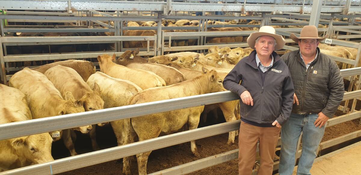 Ian Morgan Livestock agents Ian Morgan from Quirindi and Ben Goodman from Tamworth with Castle Mount steers bred near Quirindi that sold for 531c/kg at Tamworth on Monday. Photo: Michelle Mawhinney, TLSAA