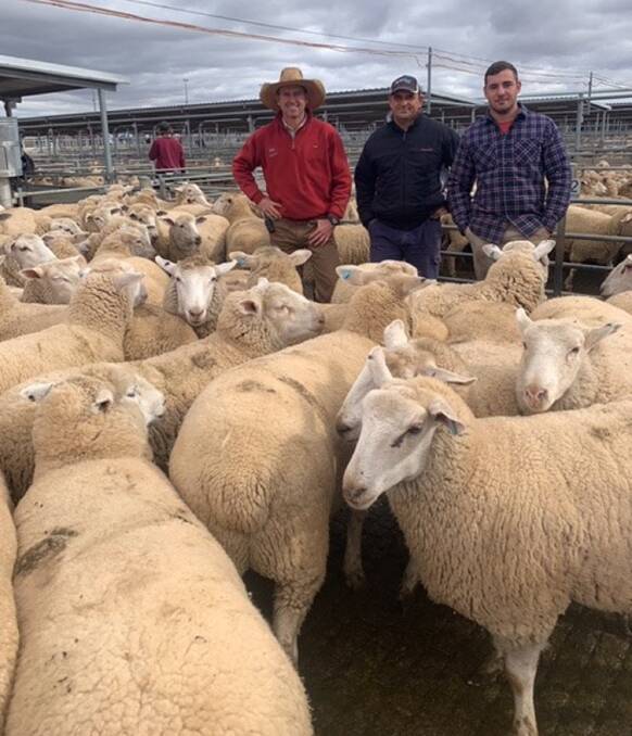 Forbes Livestock Agency Company agent Randal Grayson, with Chris and Isaac Petropoulos, Champsaur, Forbes, and the $355 top priced lambs at Forbes last July.