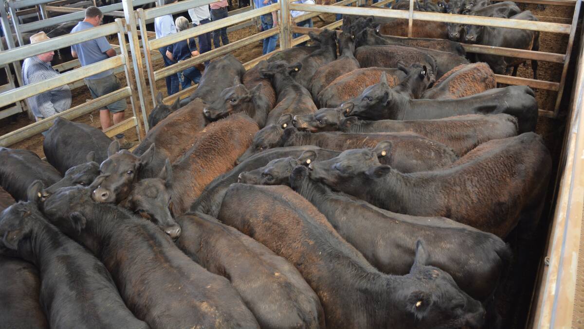 Livestock markets start 2020 on a high
