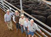Agent Ian Morgan, Tamworth, with Hayden Chappel and Wendy Mayne from Texas Angus at Warialda, and Anastasia and Anthony Haling, Hillside Park, Woolbrook. They are picture with the champion pen of heifers bred by the Haling family using bulls from Texas Angus.