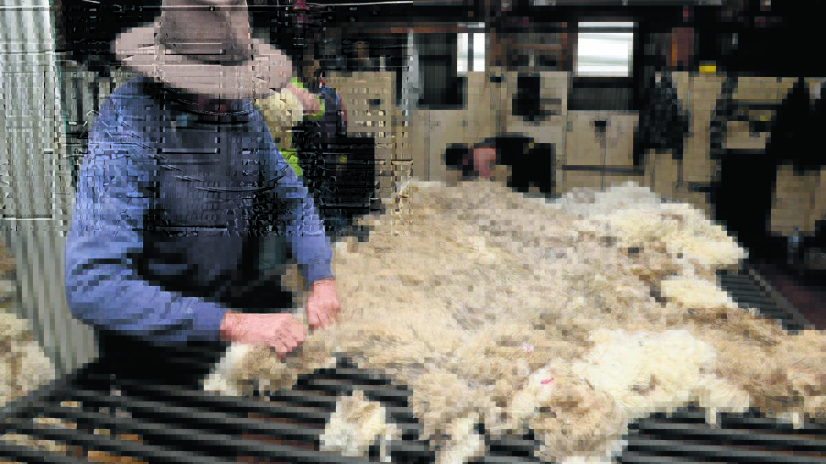 Wool indicator hits 2073c/kg