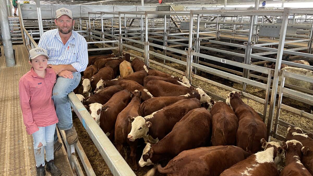 Cattle supply squeeze sorted | The Land | NSW