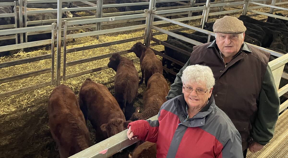 Loretto and John Miller, Cowra, sold 10- to 12-month-old Mt Lookout-blood 284kg Devon heifers for $1020 a head at the Central Tablelands Livestock Exchange, Carcoar, store sale last Friday. Photos: Karen Bailey