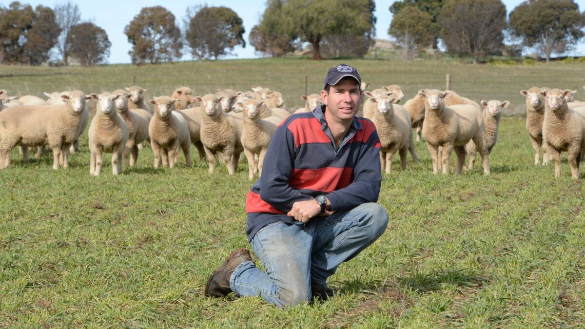 Kyeran Steenbergen, "Rockfield", Young, with second-cross lambs that will be directed into the family's Good Friday Gully Farms branded product. 