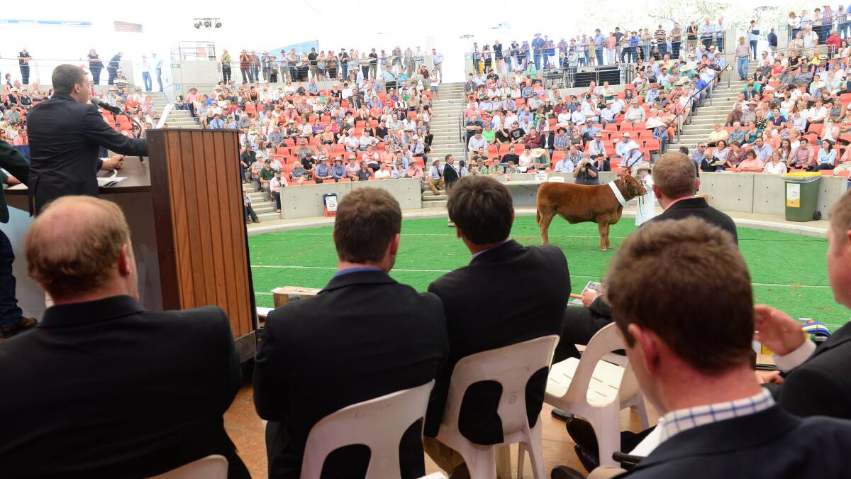 Meet the ALPA National Young Auctioneers Competition finalists