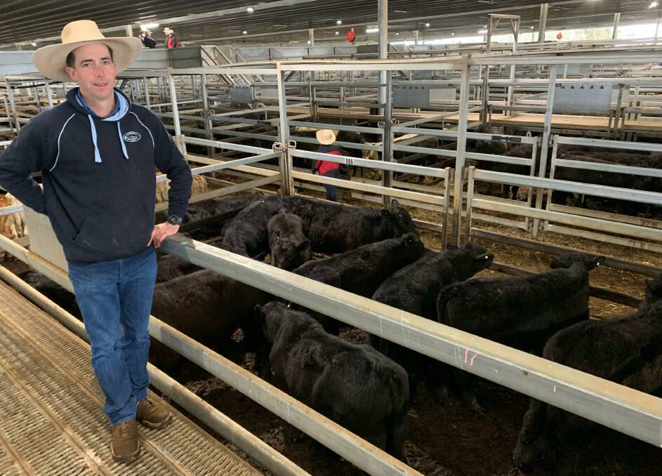 James Hagney, Clements and McCarthy, Bathurst, with 11 Angus steers, 352kg, that sold for 569 cents a kilogram (liveweight) or $2032 a head during the Carcoar prime cattle sale on Tuesday. Photo by Josh Stephens, CTLX Carcoar.