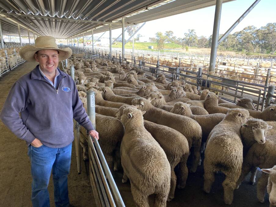 JJ Dresser and Company agent Taylor Meek with 128 heavy lambs that sold for $220 a head at the Carcoar weekly prime lamb sale on Wednesday.