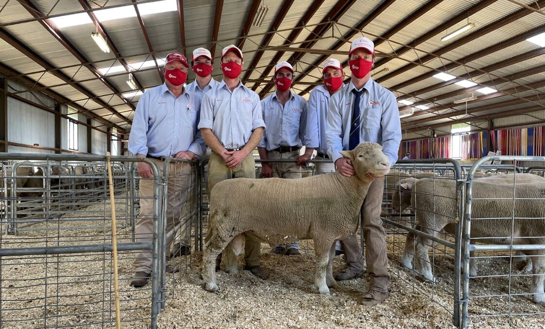 The $7500 top-priced ram with Graham Gilmore; Oliver Blake; Ross Gilmore; Jack Healy; Daniel Raynor, and James Gilmore, all of Tattykeel. The ram sold via AuctionPlus to Ian Ford, Anneleigh Poll Dorset stud, Cathcart. As one of the heaviest in the draft, the April-drop ram tipped the scales at 137 kilograms. Photo: Karen Bailey