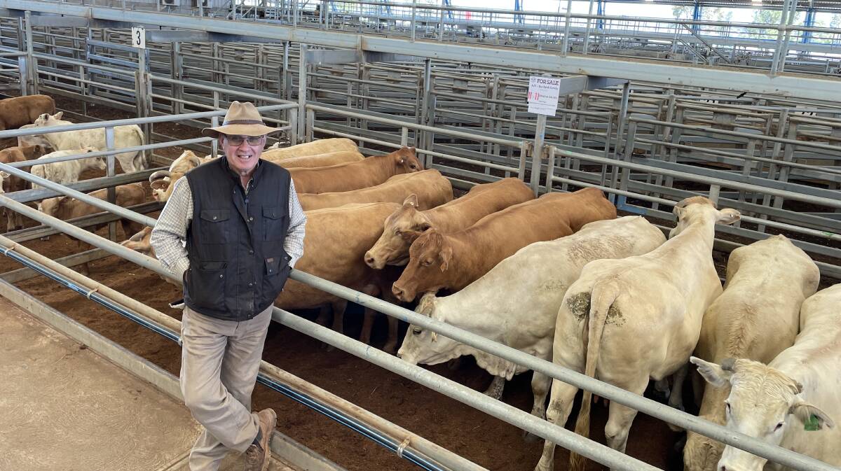 Wayne Dunford, Narran Plains, Brewarrina, sold a pen of 675kg Charolais/Santa Gertrudis cows with calves for $3400 a unit at Forbes last Friday.