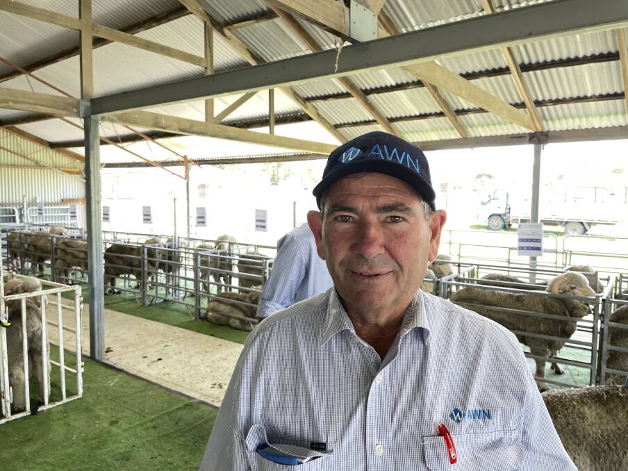 AWN's Harold Manttan at a fine wool Merino ram sale at Walcha last week. Picture by Simon Chamberlain