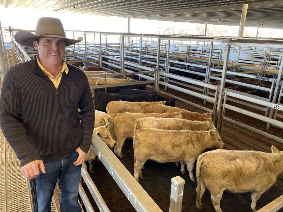 Harry Larnach, Ray White Emms Mooney, Blayney, with eight 511kg Charolais steers (account C Ingham) which sold for 395c/kg ($2019/head) at Carcoar's sale on Tuesday.