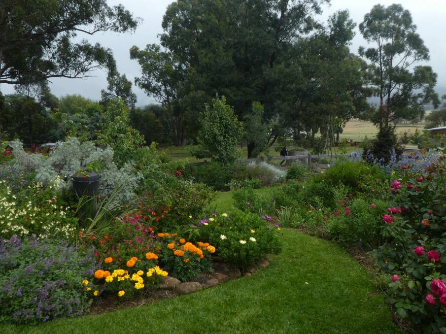 Colourful plant combinations created by builder Peter Kube and artist Jennifer Edwards in their garden at Little Hartley. Hartvale at Little Hartley is open March 6 and 7 from 10am to 4pm.