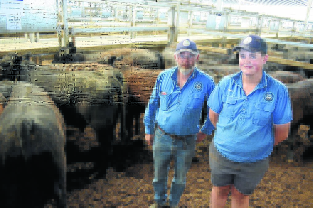 Chris and Campbell Roweth, Nullawonga, Browns Creek, sold 460kg Kywarra-blood steers for $1845 a head at Carcoar store sale last Friday.