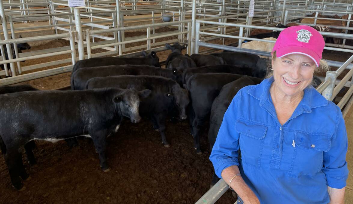 Catherine McGoldrick, Cowra, bought 353kg heifers for $1230 a head on behalf of her daughter at the Forbes store sale last Friday. 