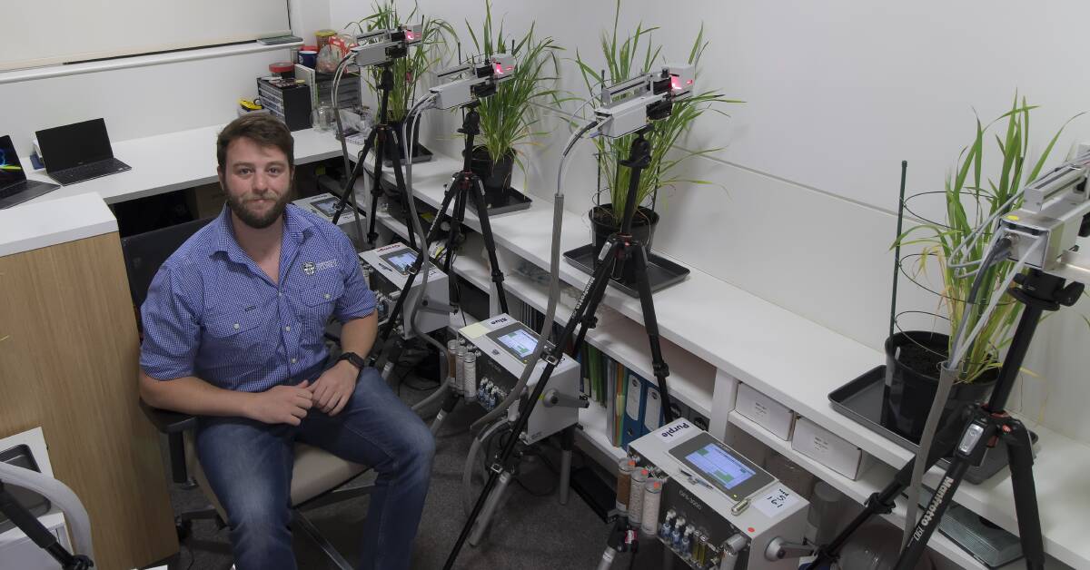 University of Sydney researcher Dr William Salter running tests on wheat plants. His attention has now turned to investigating photosynthetic induction kinetics with chickpeas.