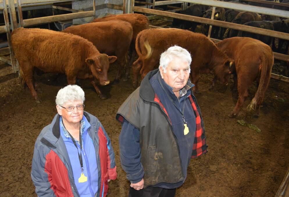 Loretto and John Miller, Bigga, sold 304kg Devon heifers, 13 to 15 months, for $1050/head at the Carcoar store cattle sale on Friday.