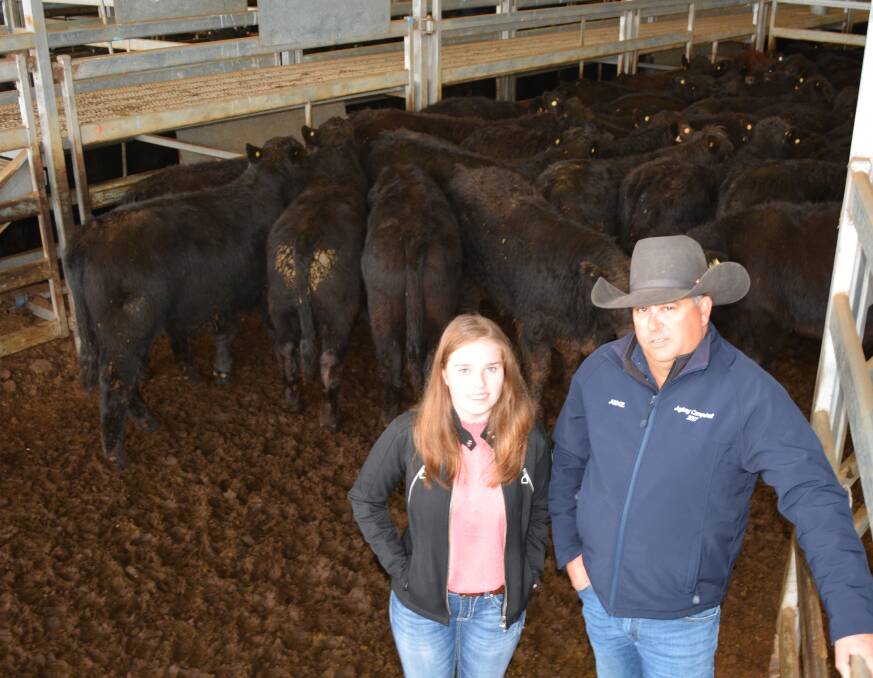 Paul Agostino, Waugoola Pastoral, Canowindra, with his daughter Harriet and 316kg Limousin/Simmental/Angus steers that sold for $1780/head. They sold 300 head with 423kg steers topping at $1985 and 371kg heifers to $1775.