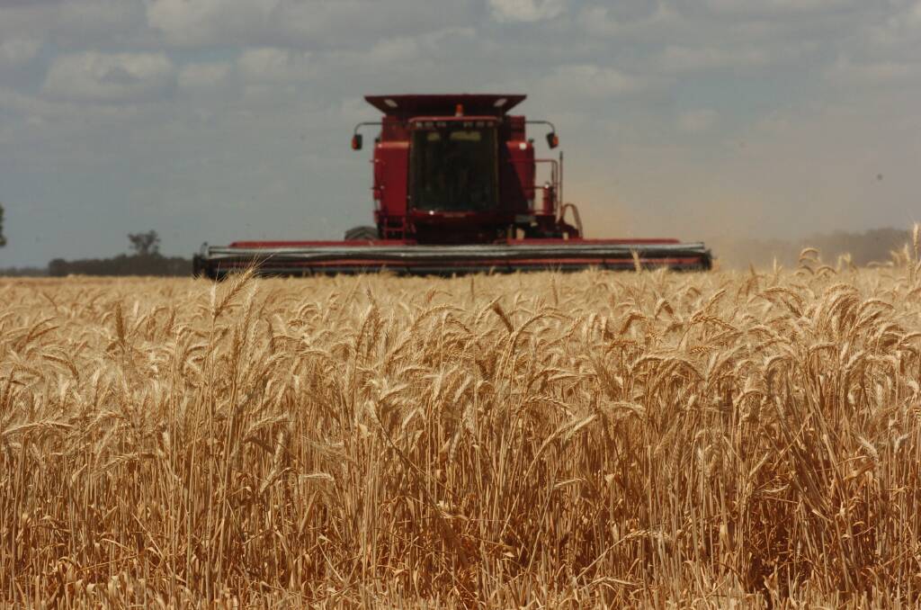 In its monthly world supply and demand assessment, the USDA raised world wheat ending stocks by a further two million tonnes to 271 million tonnes.