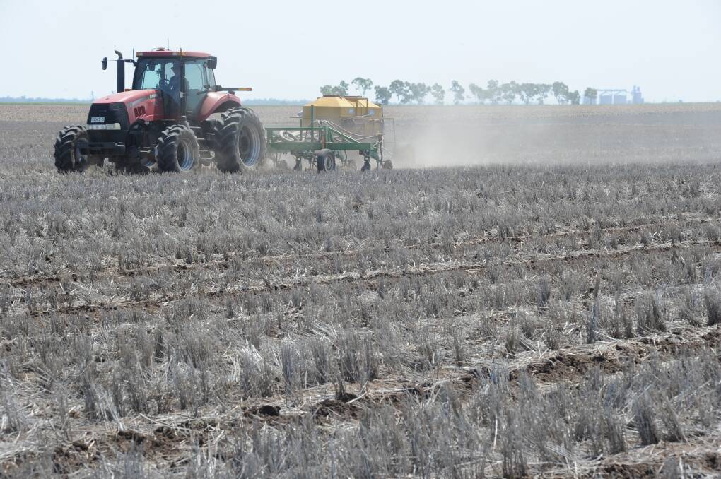 Sorghum plantings are expected to be up as farmers look to cash in on the high grain prices.