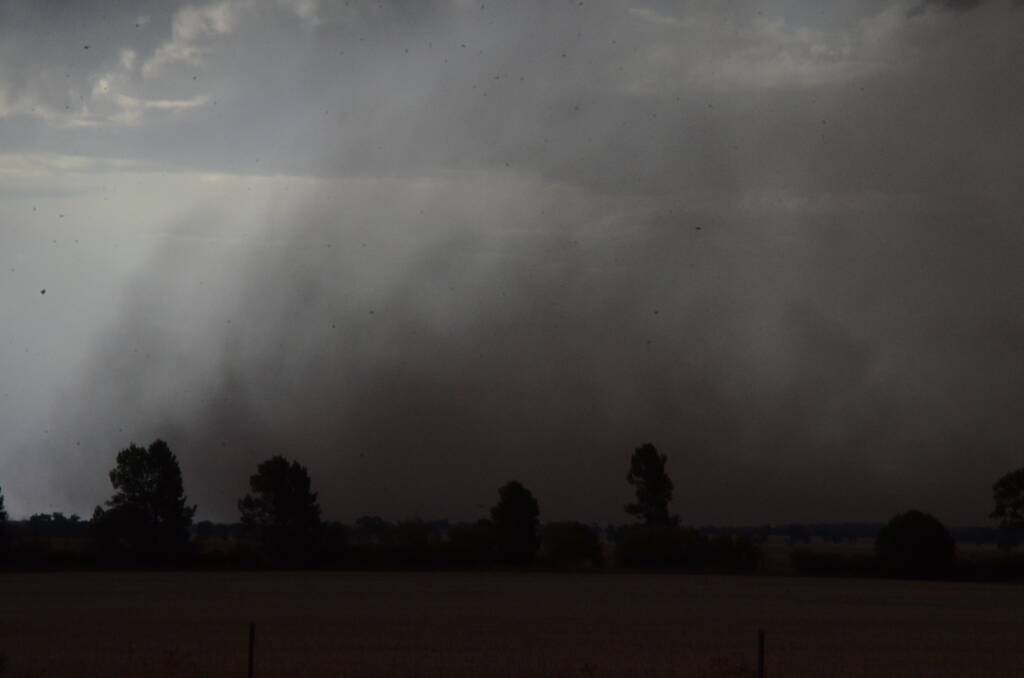 Weather In Focus | Dust, smoke and bushfires
