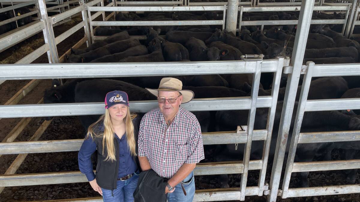 Charlotte and Chris Coleman look over 341kg Angus steers sold by Coleman's Pastoral, Millthorpe, for $1510 a head. Picture by Karen Bailey.