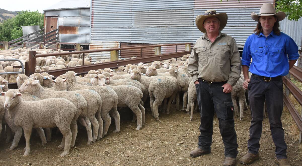 Steve and James Faulder, The Ranch, Mullion, sold Merino/White Suffolk store lambs, August/September drop, Glenfinnan blood for $55 a head. Picture by Helen DeCosta