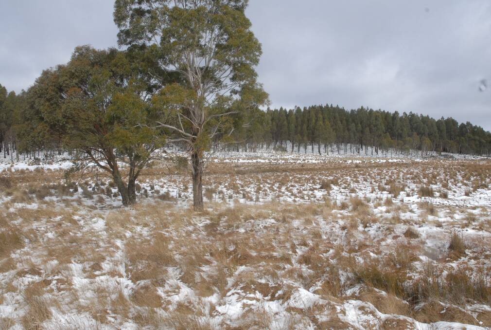Canberra stayed below 13degC during the first 14 days of winter, its coldest start to the season since 1964. 