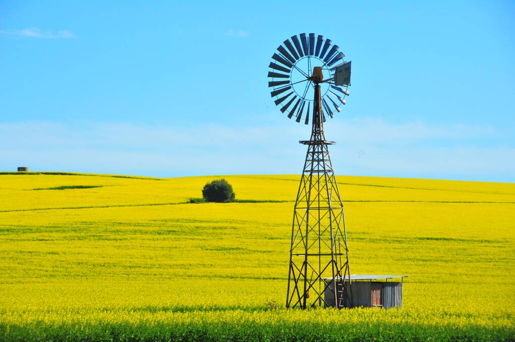 Canola is expected to be a popular choice with farmers in 2018 following the good season last year. A downturn in pulse plantings may also see a swing to canola.