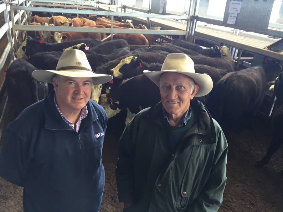 Lindsay Fryer, McCarron Cullinane, Orange, with Mark Minehan, Inverness, Cowra, who sold 11 steers and 31 heifers at CTLX, Carcoar, store cattle sale last Friday.