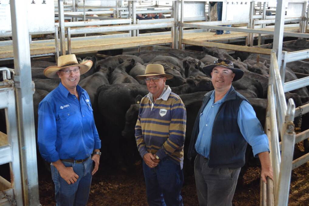 AWN Langlands Hanlon agent Geoff Rice, Parkes, with his father, Colin, and brother, Richard, J and H Rice and Co, Hillview, Cookamidgera, who sold 25 eight- to nine-month-old Angus weaner steers (351kg) for $2000 a head.