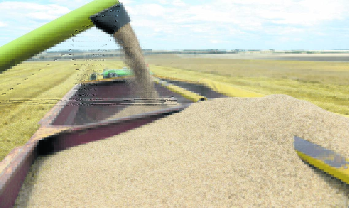NSW man charged over ill-gotten grain