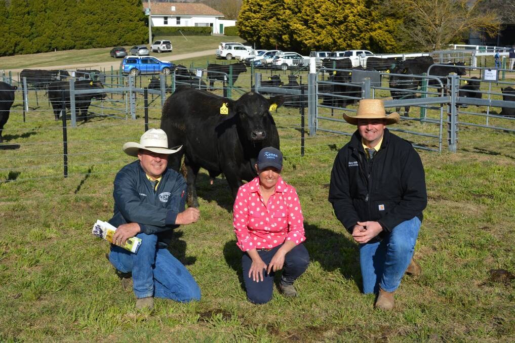 Karoo stud co-principal Annie Scott (centre) with Ray White Emms Mooney agents Ben Emms and Liam Murphy and Karoo N321 Junior R93 which sold for $34,000 at the annual Karoo Angus bull sale on Thursday. 