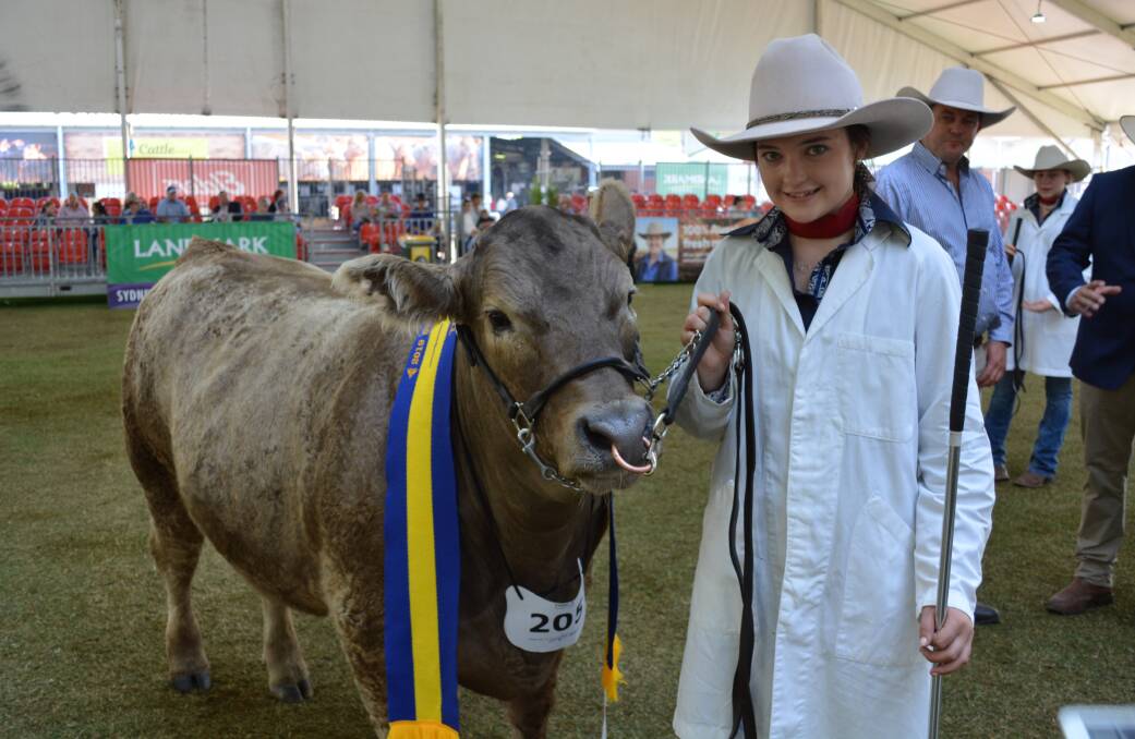 Lilly Turner, Tamworth, holds the trade competition reserve champion which was exhibited by Calrossy Anglican School and bred by Don and Sarah Riley, "Oakvale", Coonabarabran. Photo by Karen Bailey.