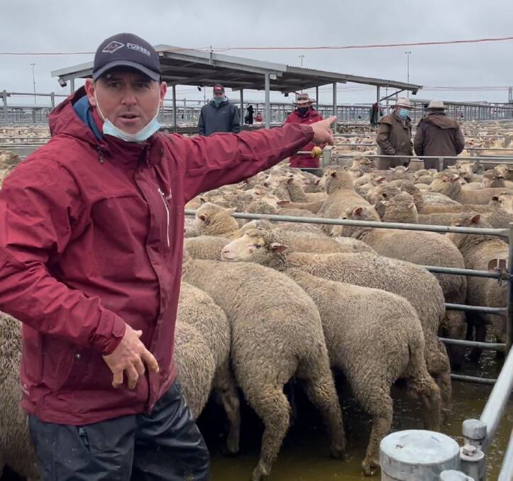 Forbes Livestock and Agency Company auctioneer Randall Grayson takes bids for the record-breaking pen of White Suffolk/Merino lambs which sold for $364 a head at Forbes on Tuesday last week. Photo: Sam Mackay