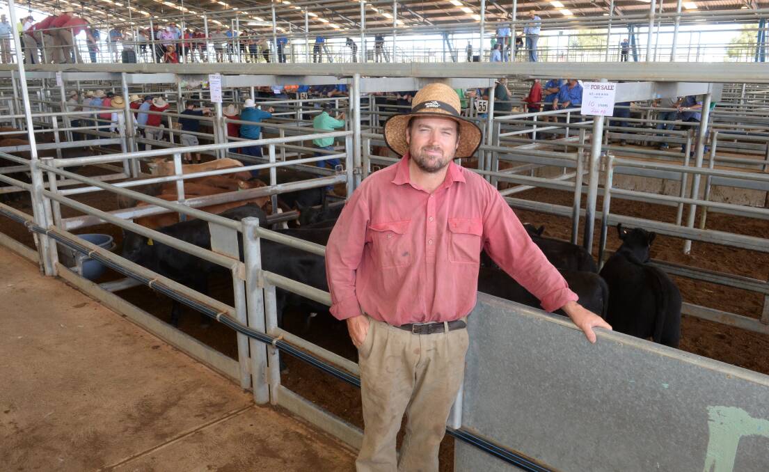 Ben Rix, Silent Dale, Bogan Gate, with 10 Angus steers weighing an average 266kg that sold at $1685 a head at Forbes last Friday. He and wife, Wendy, had to destock some leased land which forced the sale. Their 10 heifers sold for $1260 a head. Photo: Mark Griggs 