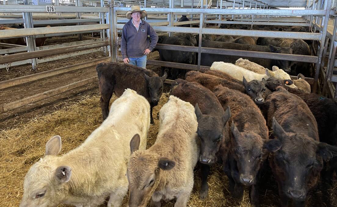 JJ Dresser and Company agent Darcy Howard, Woodstock, with 10 Angus-cross steers sold by ADGRH Partnership for $1400 a head (1000c/kg) at the Central Tablelands Livestock Exchange, Carcoar, store sale last Friday. Photo: Brock Syphers