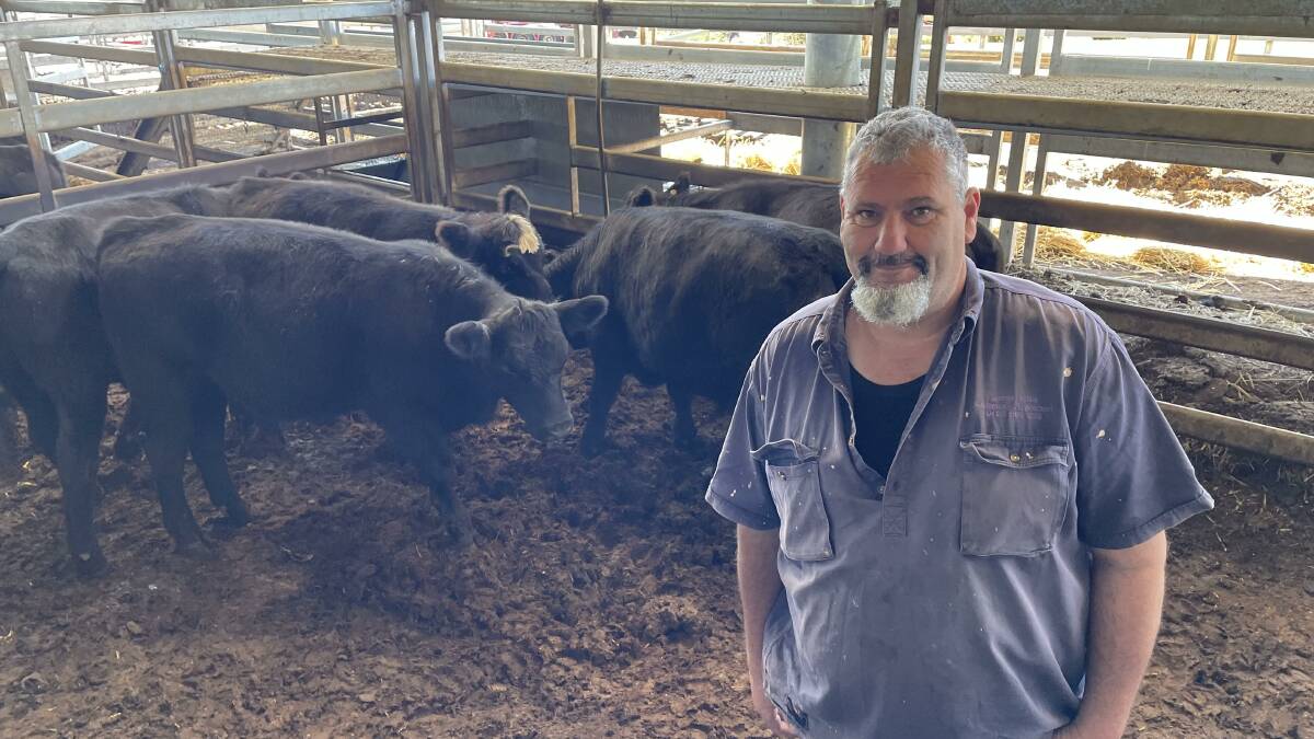 Jamie Willis, Meadow Flat, representing Peter Walsh, Portland, who sold five 341kg Angus steers for $1210 a head at the Carcoar sale last Friday. Picture by Karen Bailey.