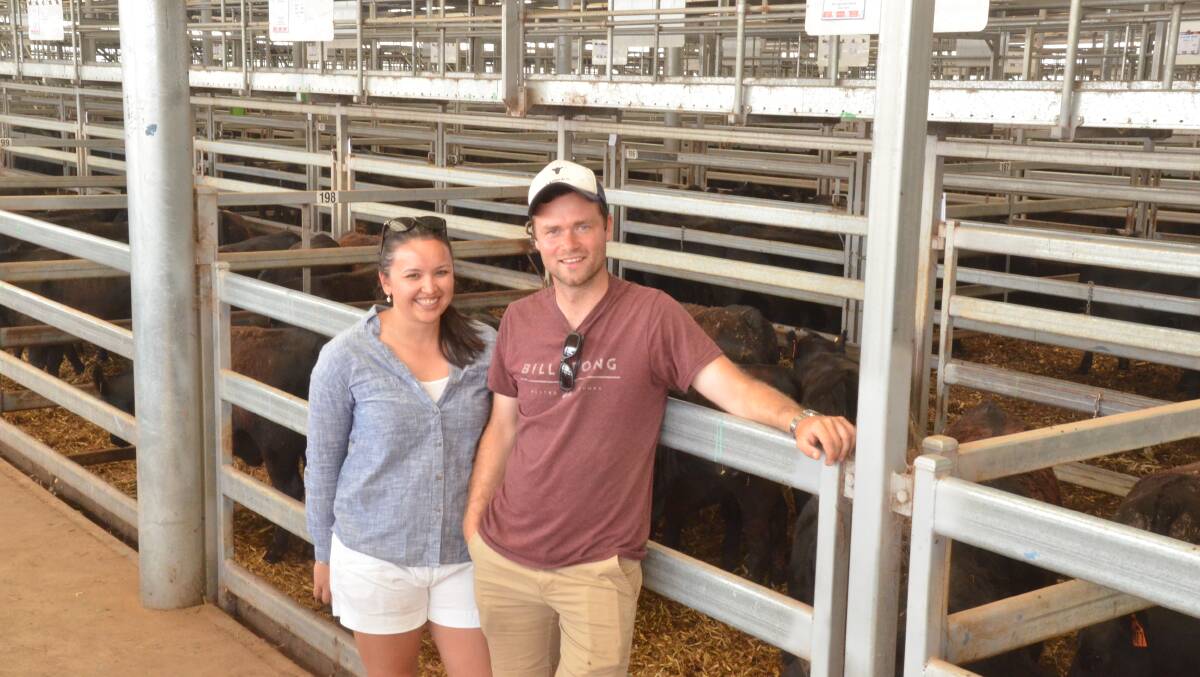 Christina Johnson and Stafford Ives-Heres, Shanford Park, Marrawah, Tasmania, were buying heifers from 320kg to 350kg last week at the Wodonga weaner sales. Photo: Mark Griggs