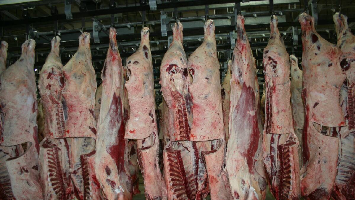 Beef exports near tariff safeguard in Korea