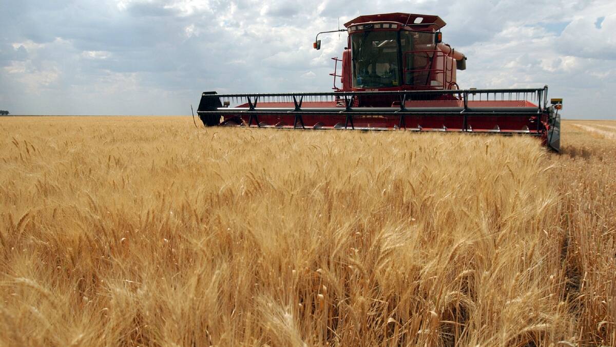 Smart Marketing | Wheat market strengthens