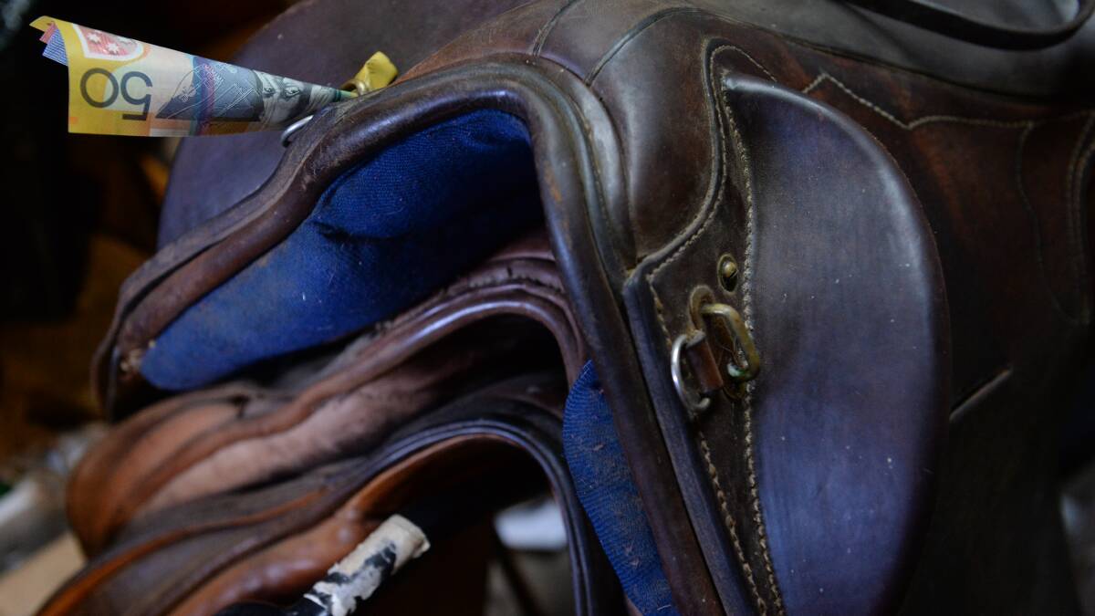 Ashford Show gets grant for horse stalls