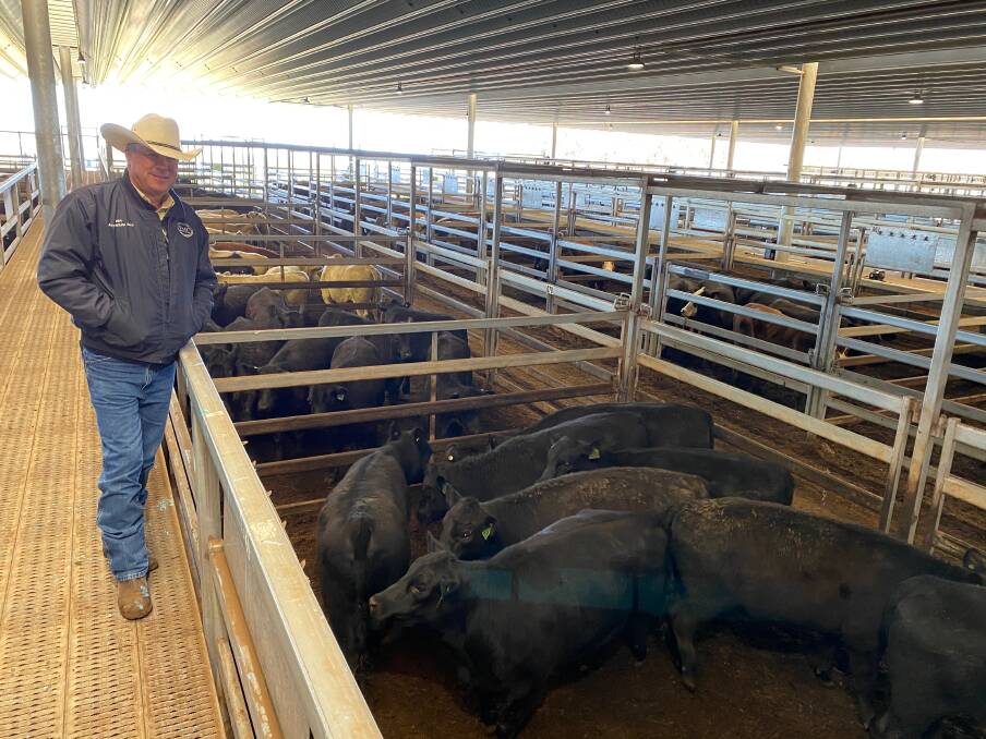 Ray White Emms Mooney agent Ben Emms, Blayney, with nine 397kg Angus heifers sold by the Fitzpatrick Bros for 405c/kg ($1608) at the Central Tablelands Livestock Exchange, Carcoar, prime cattle sale on Tuesday. Photo: Central Tablelands Livestock Exchange