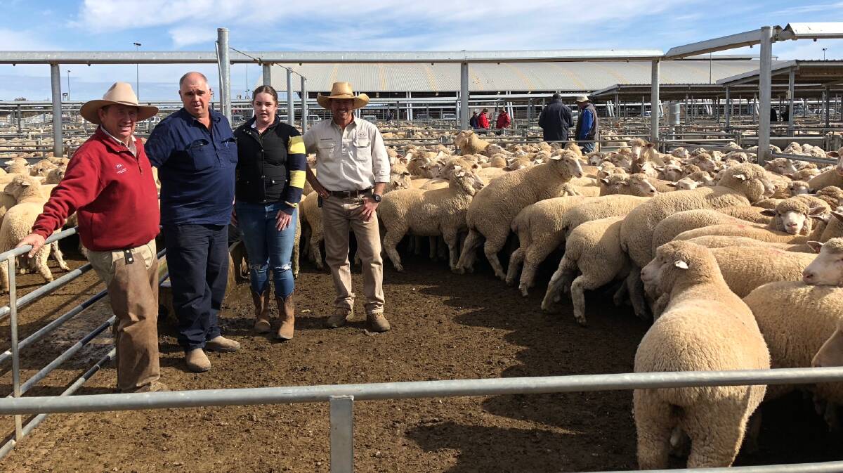 Forbes Livestock and Agency Company's Tim Mackay and Randall Grayson flank vendors Graeme and Nikki Spackman, "Bella", Forbes, who sold 154 lambs for $300.60 a head at Forbes prime sale on Tuesday.