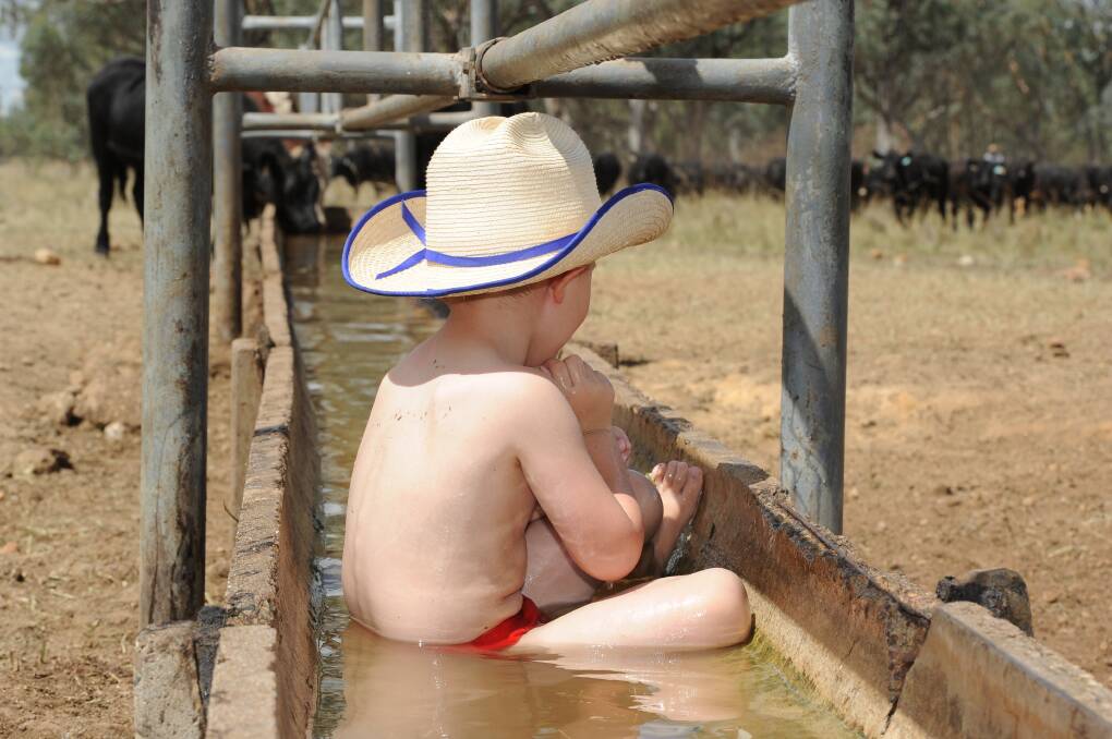 Even little stockmen need somewhere to cool off on a hot day. Northerly winds ahead of an approaching low pressure trough will cause temperatures to spike across much of NSW today and tomorrow.